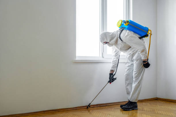 Best Pest Exclusion Services  in Ransomville, NY